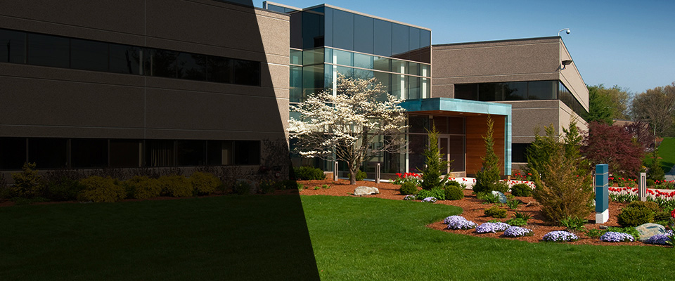 Camano Island Landscapers