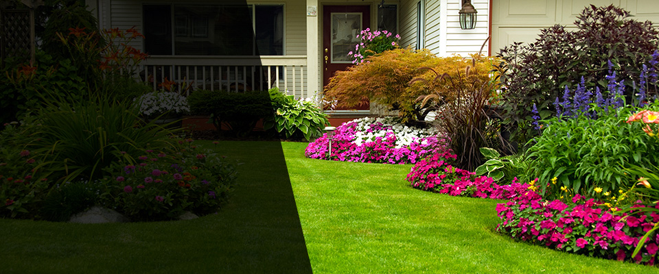 Camano Island Landscapers