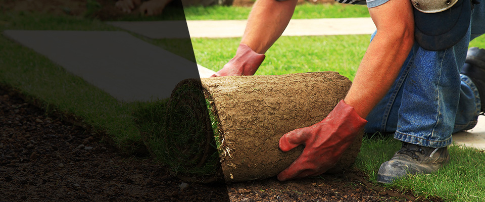 Camano Island Landscapers